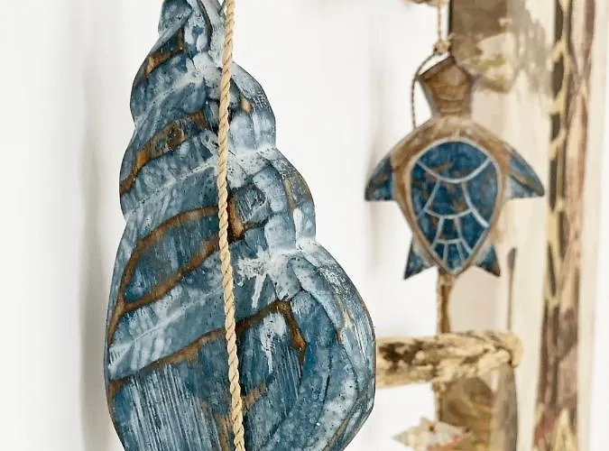 Oxxo Mamaia-nord 那沃达利